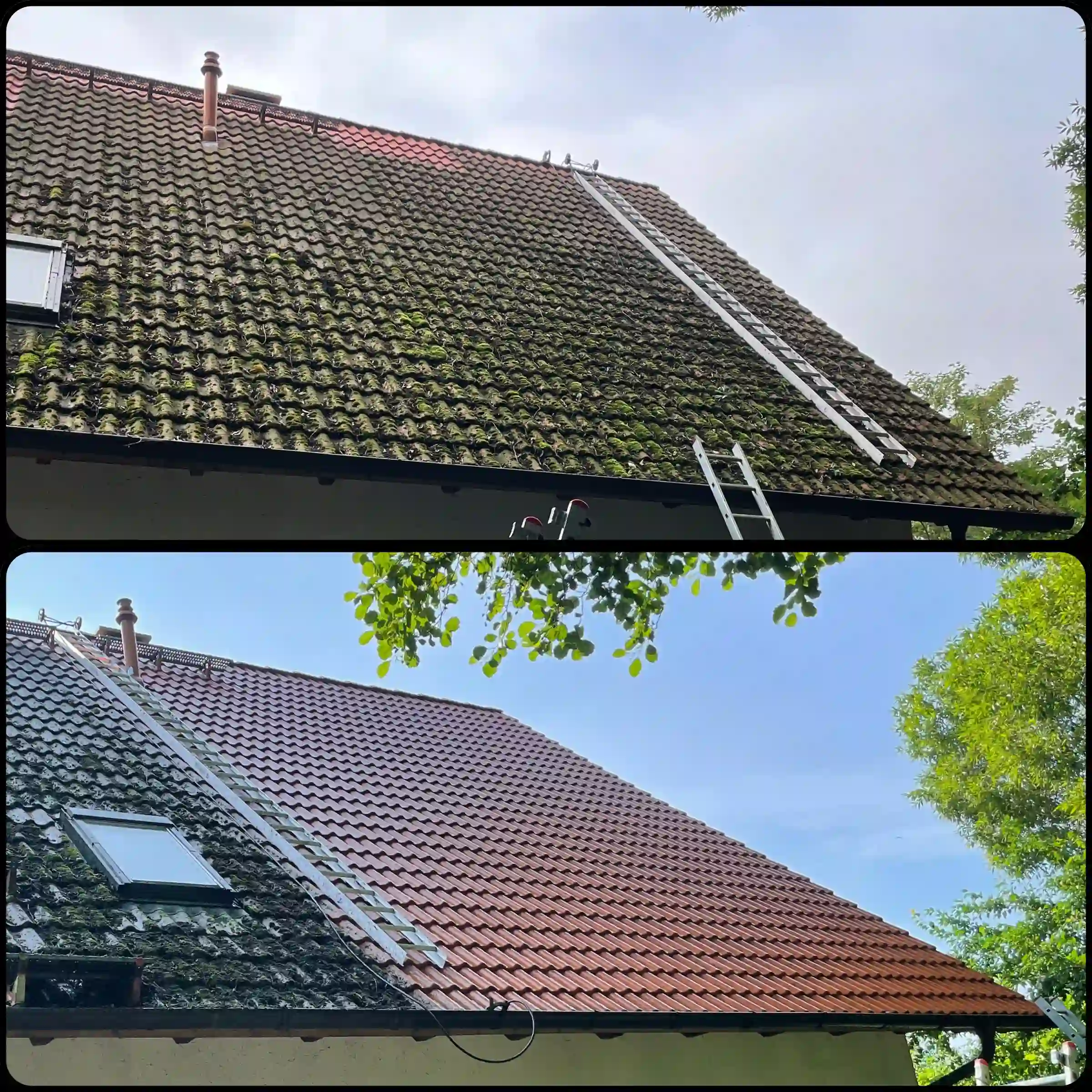 Vorher-Nachher-Bild eines gereinigten Dachs eines EFH in Wittenbeck – links stark verschmutzt, rechts gründlich gereinigt und optisch aufgewertet. von Duchdacht-Gemacht David Tessenow