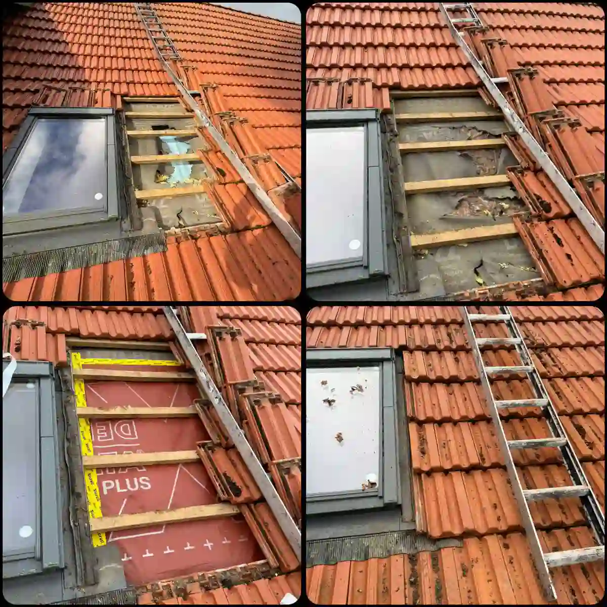 Dachreparatur nach Maderschaden mit Austausch der beschädigten Dämmung und schädlingssicherer Wiederherstellung des Dachaufbaus. von Duchdacht-Gemacht David Tessenow