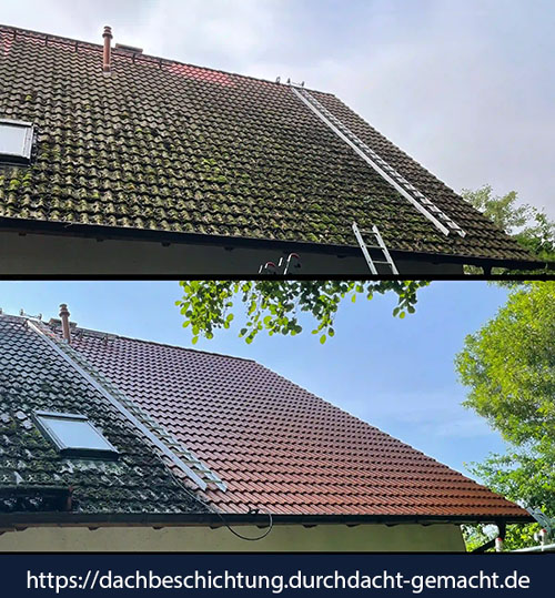 Vorher-Nachher-Bild eines gereinigten Dachs eines EFH in Wittenbeck – links stark verschmutzt, rechts gründlich gereinigt und optisch aufgewertet.